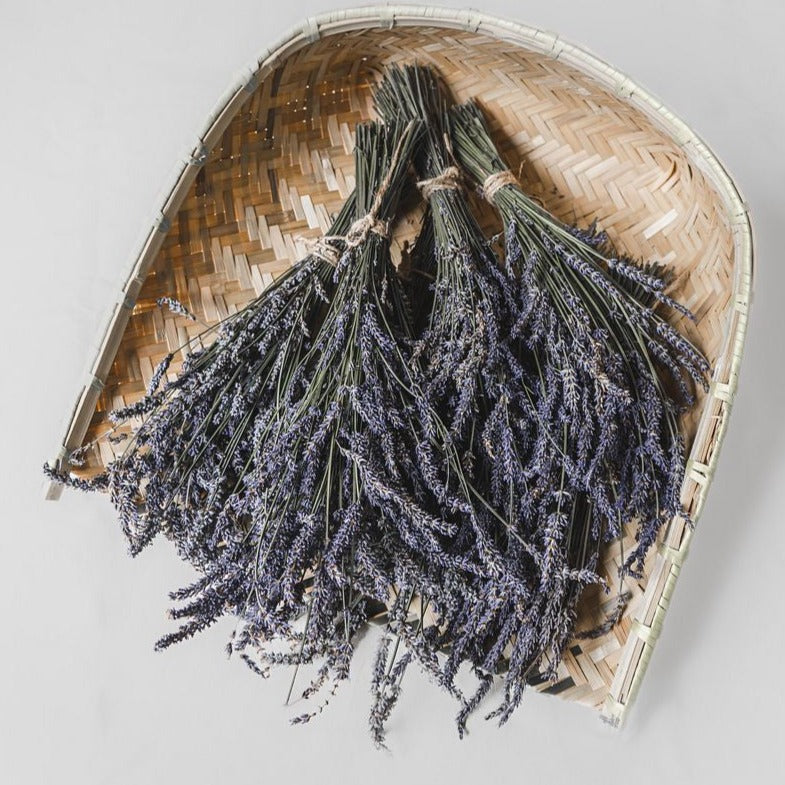 Organic Dried French Lavender Bunch