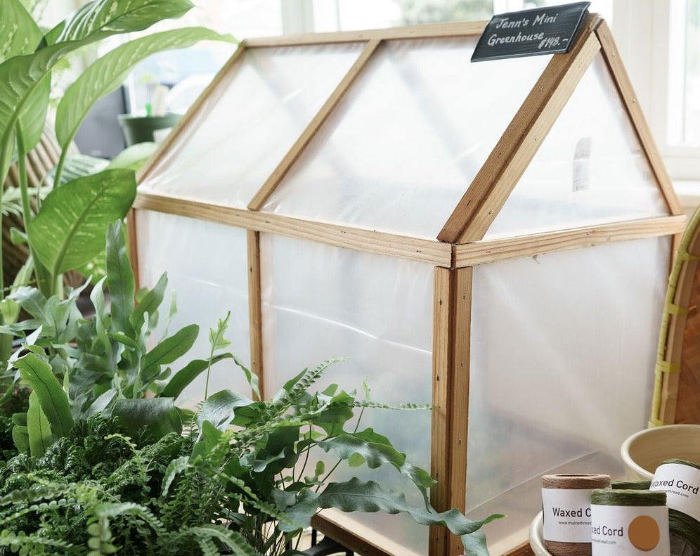 Jenn's Mini Greenhouse